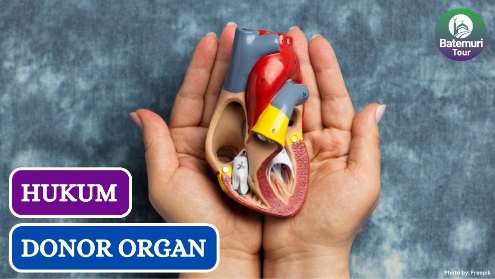 Transplantasi, Ini Dia Hukum Menerima Donor Organ dalam Islam